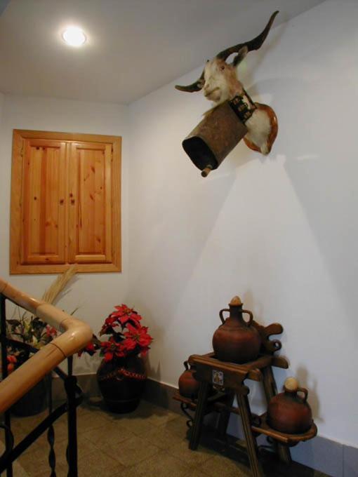 Apartamentos Gabarre Broto Buitenkant foto