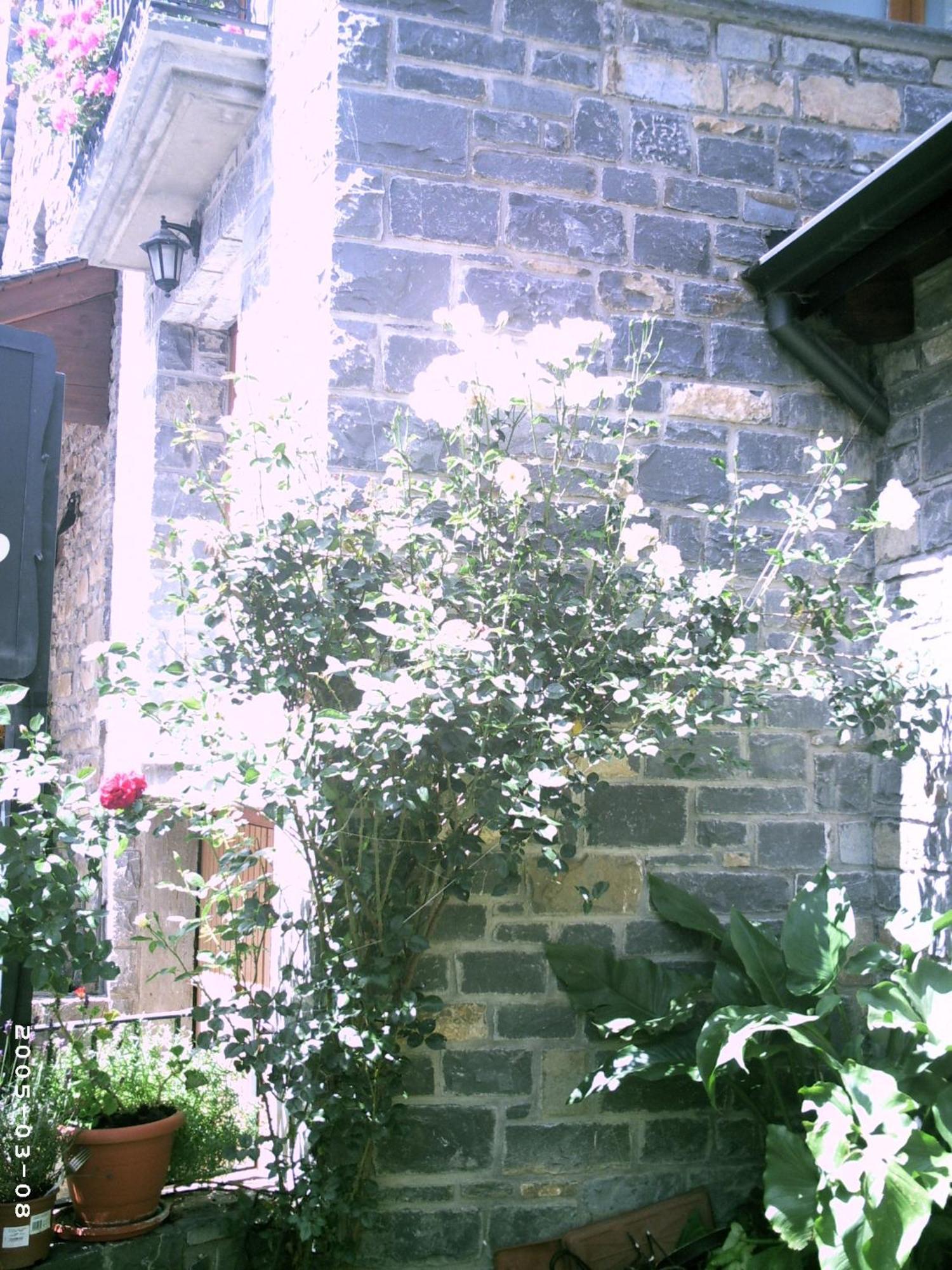 Apartamentos Gabarre Broto Buitenkant foto